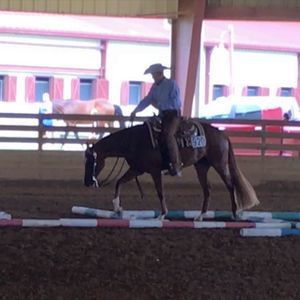 Meet your Posher, Gary